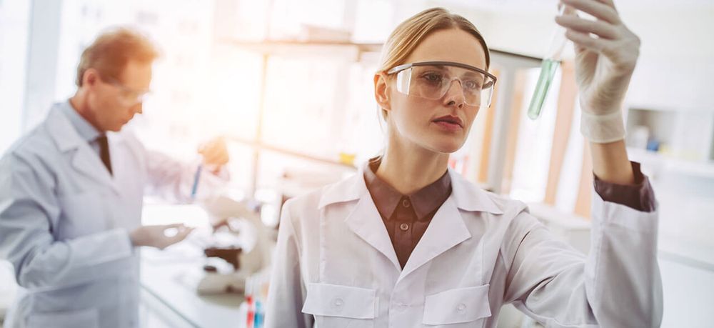 Scientists working at a laboratory bench