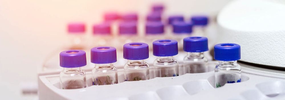 Rows of sample vials